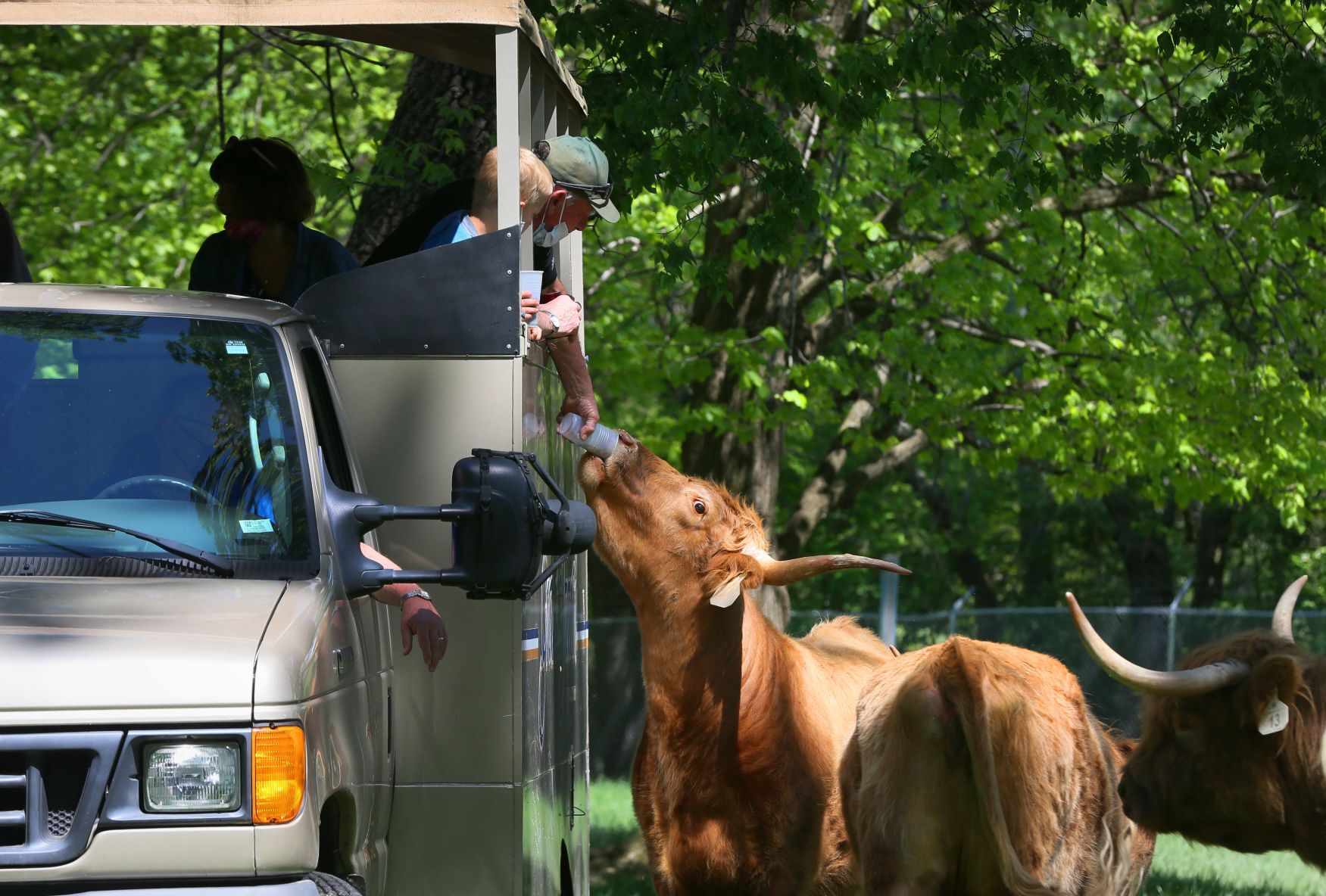 Grant's Farm soft opening prepares staff for full re-opening